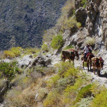 The trail down into the Colca Canyon